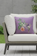 Autumn Fig