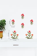 Blushing in full bloom