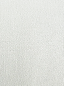 Canvas (Standard)