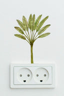 Easy Breeze Palms