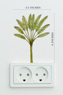 Easy Breeze Palms