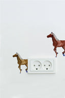 Gallop To Burn