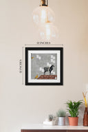 He's Nilgai - Framed