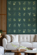 Herbarium