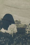 Morning Meadow