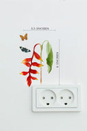 Music For Caterpillars