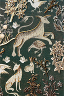 Ranthambore - Standard