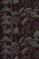 What was said in the woods